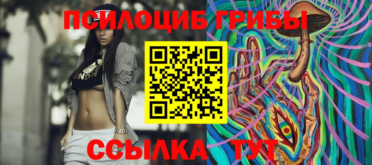 Псилоцибиновые грибы GOLDEN TEACHER  Галлюциногенные грибы Cubensis  где продают наркотики  Вход с VPN  Кашира 
